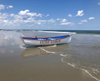 p41