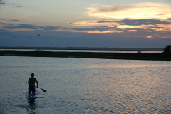 Kathy_Weidner_2020_Contest