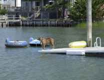 My-Dock