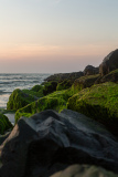 StoneHarborNJ2