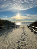 Joan Brown - 2nd place