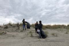 beachclean3