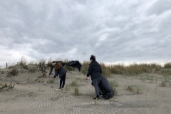 beachclean4