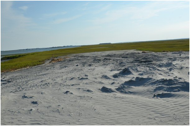 Ring Island Project. Photo provided by The Wetlands Institute.
