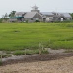 Wetlands