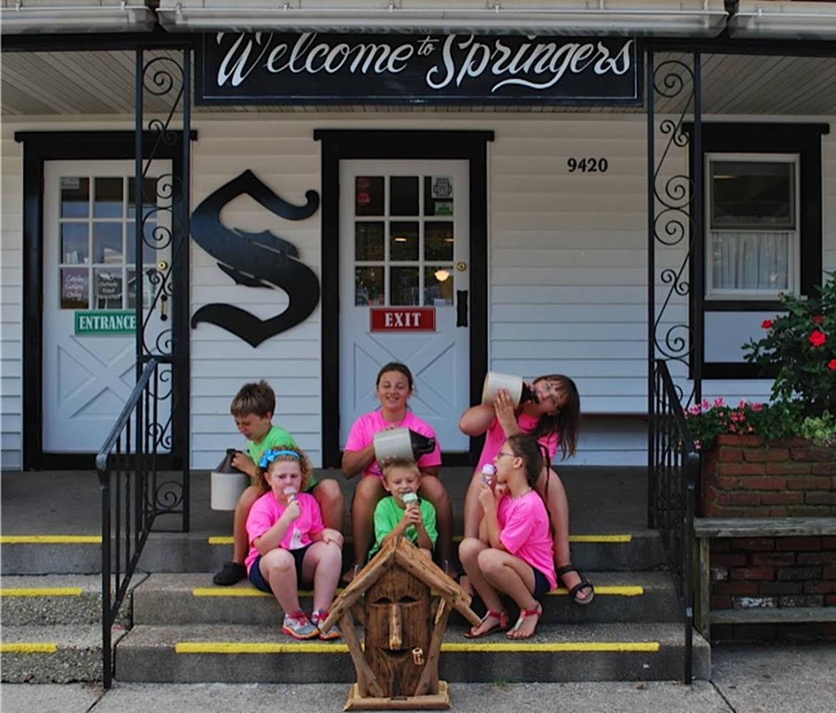 Clue 4 Springers